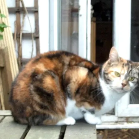 Jim's Place * Dublino