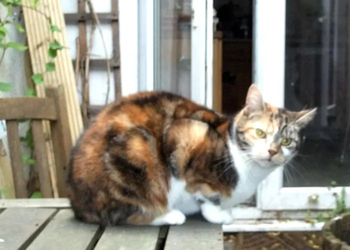 Jim's Place * Dublino